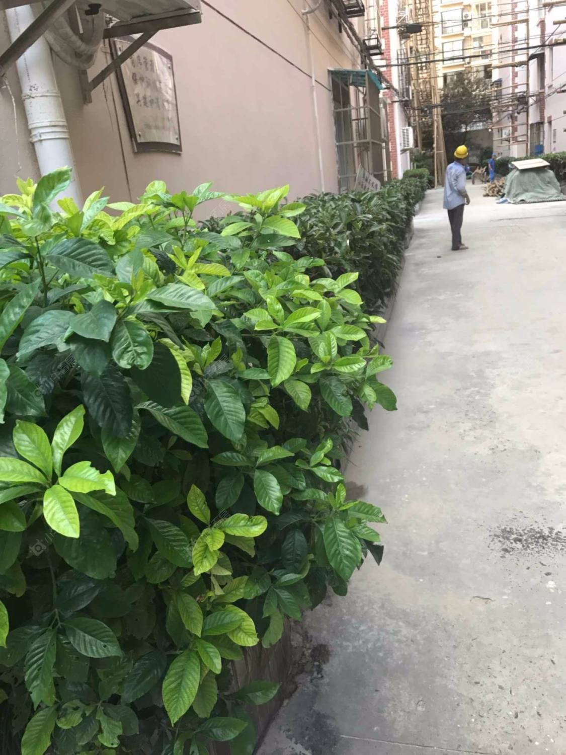 上海海防村小区_海防村小区null