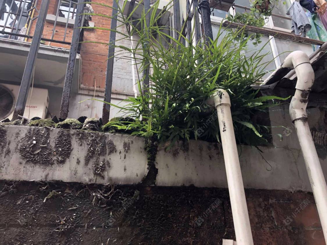 上海元昌里小区_元昌里小区null