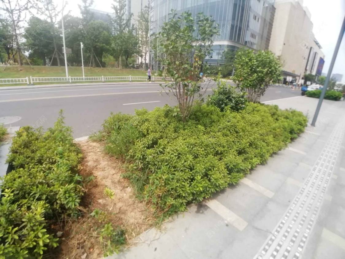 上海金陆大厦小区_金陆大厦小区null