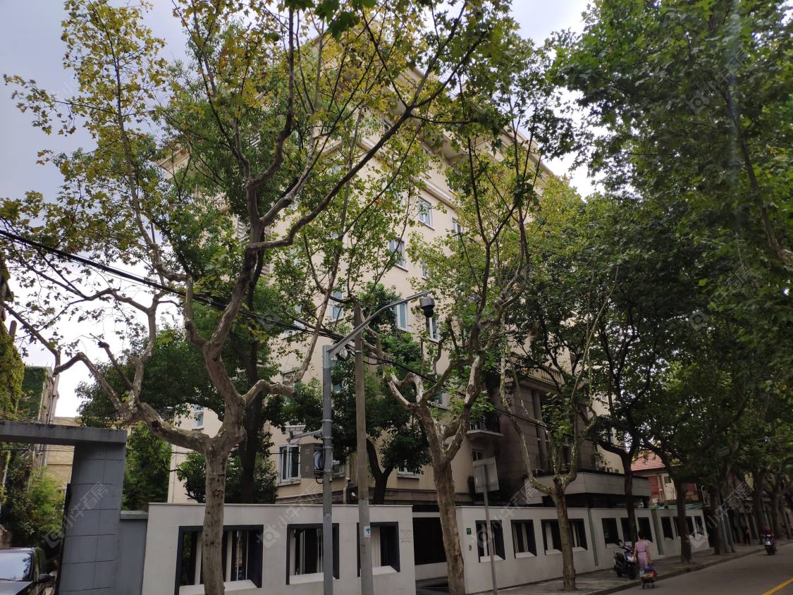 上海永嘉路477号小区_永嘉路477号小区实景图