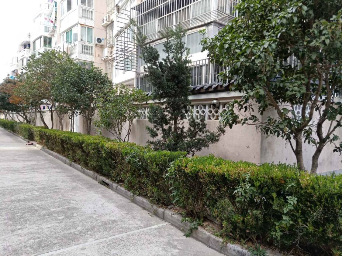 上海东卫新村小区_东卫新村小区null