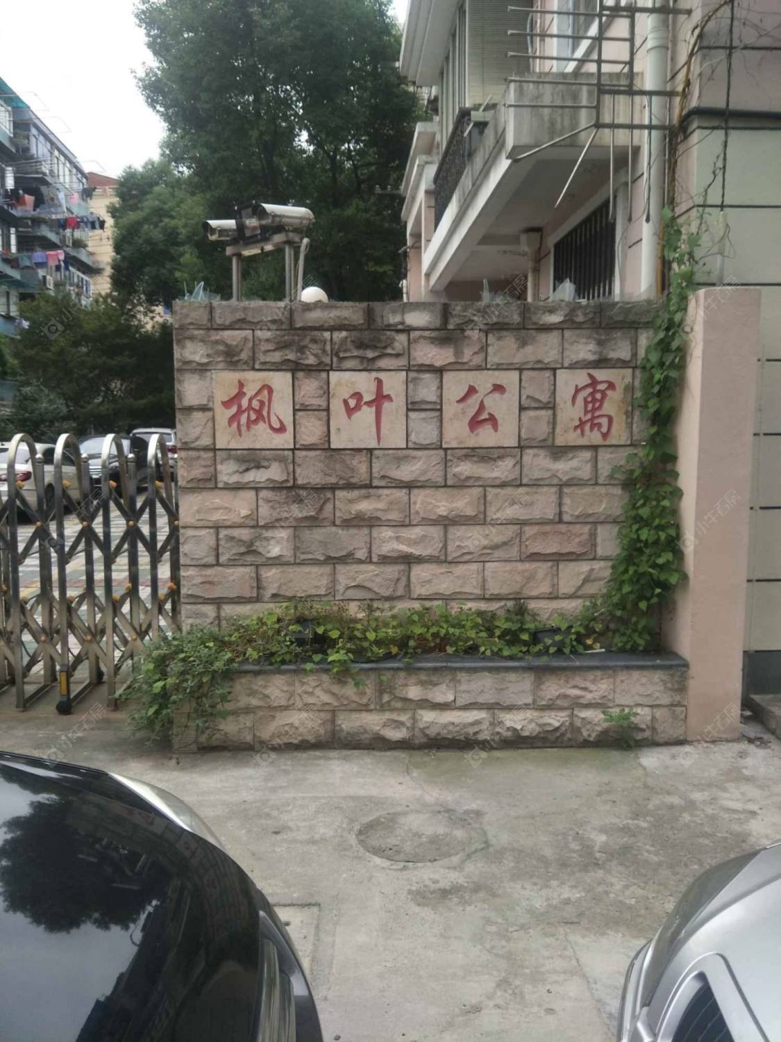 枫叶公寓封面图_小牛看房