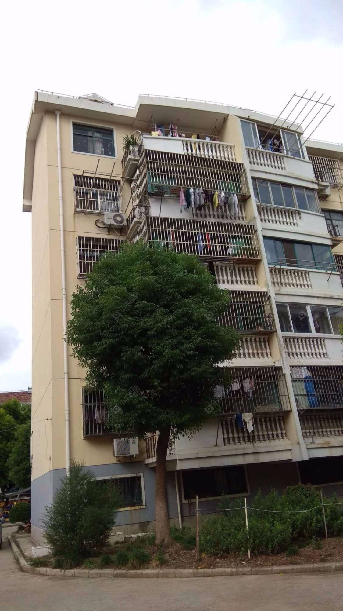 上海欧洲城(浦东)小区_欧洲城(浦东)小区null