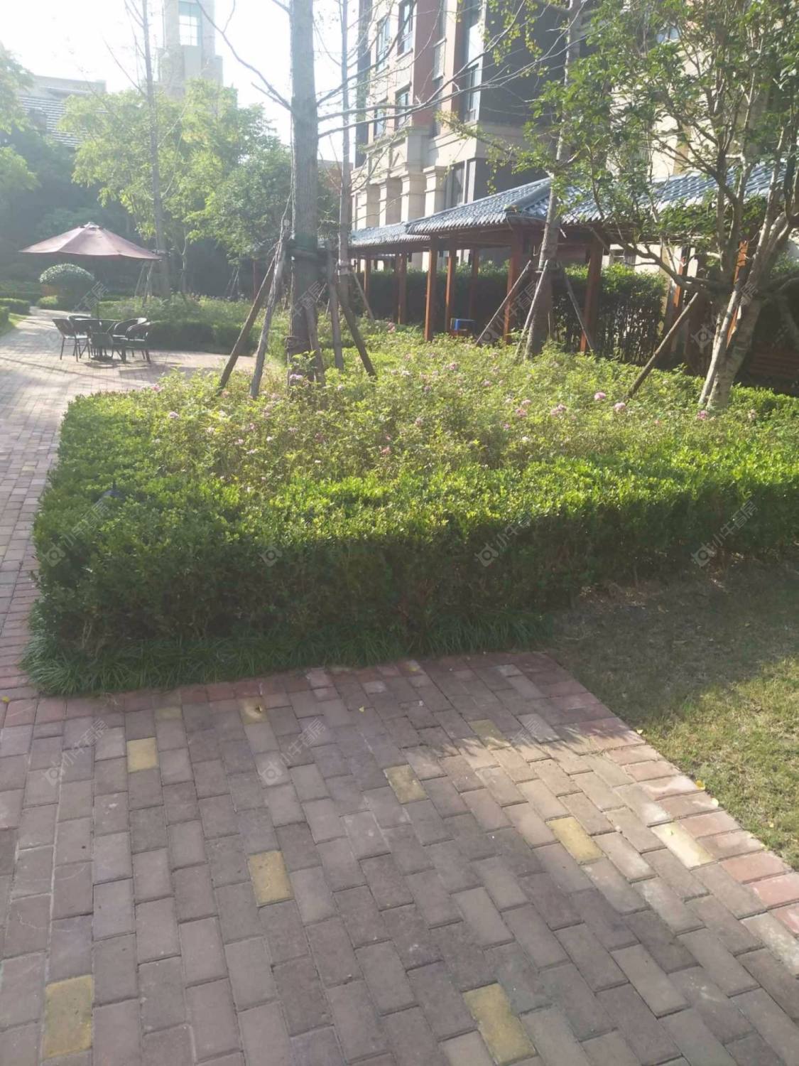 上海天地健康城小区_天地健康城小区null