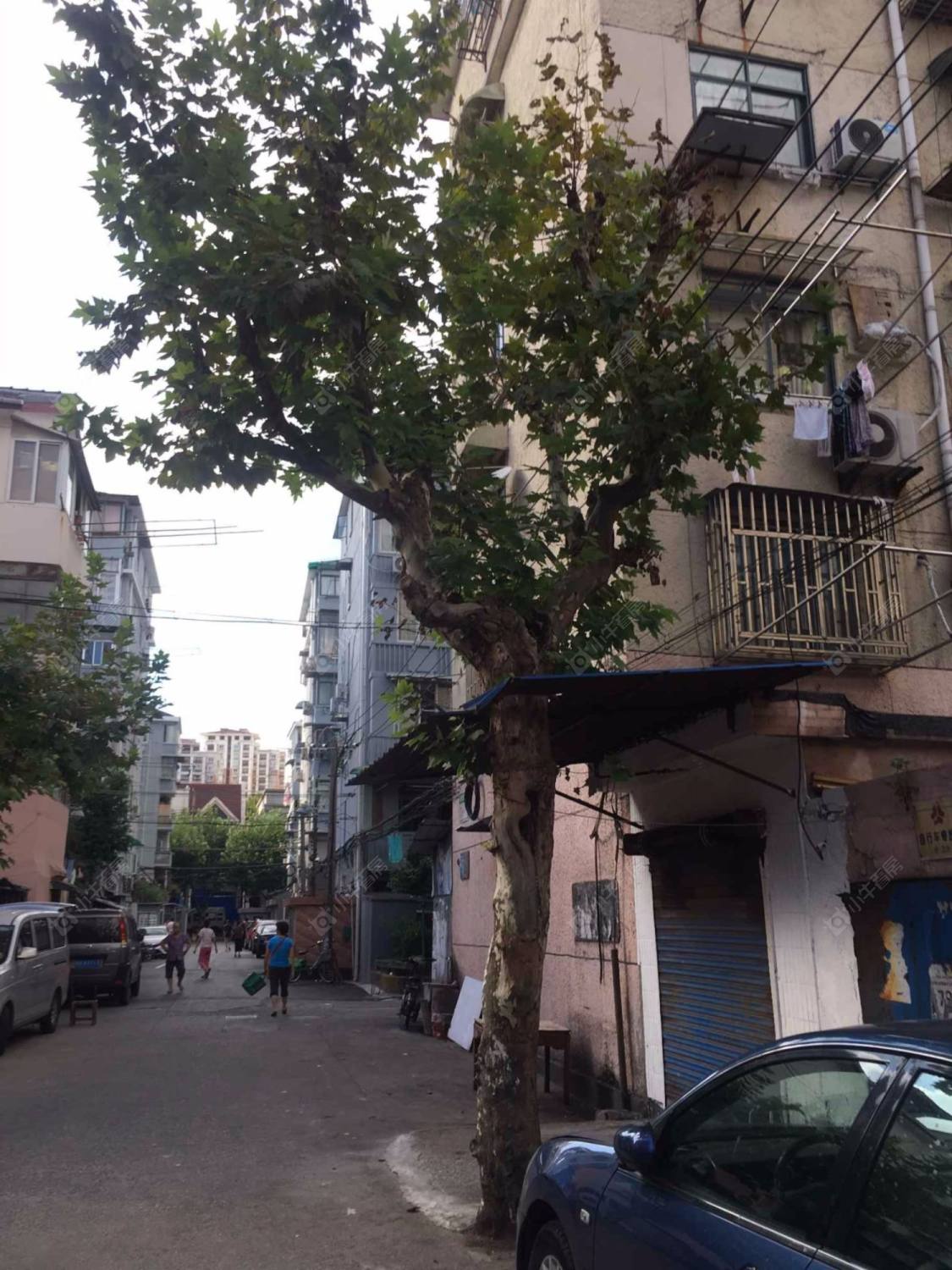 上海柳营路319弄小区_柳营路319弄小区null