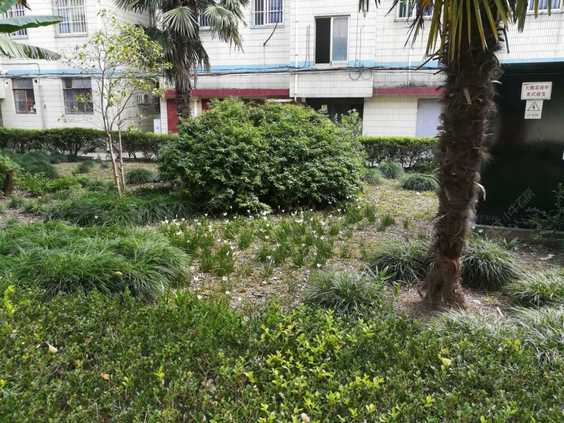 上海天鹏一区小区_天鹏一区小区null