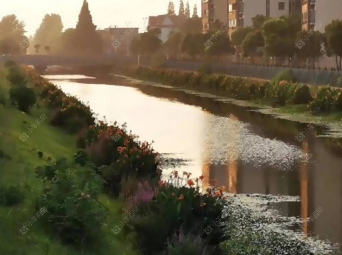 上海宝通路306弄小区_宝通路306弄小区null