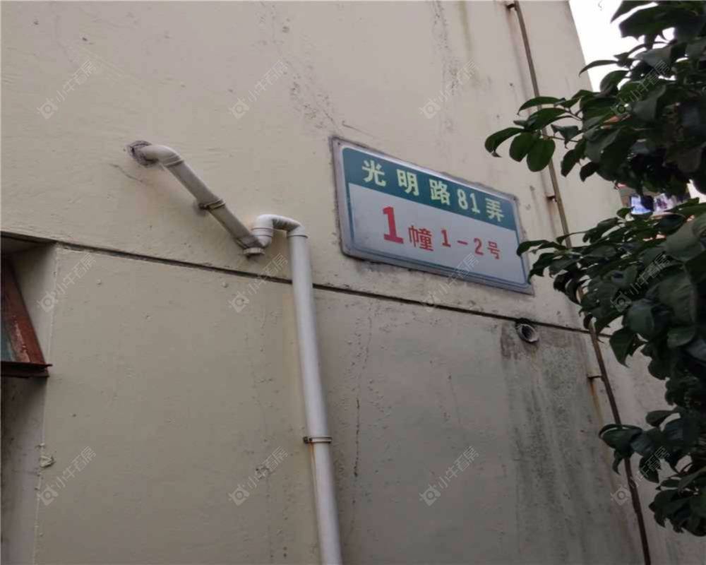 上海高东新村81弄小区_高东新村81弄小区null