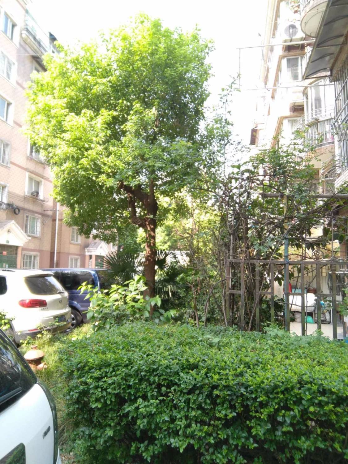 志丹苑封面图_小牛看房