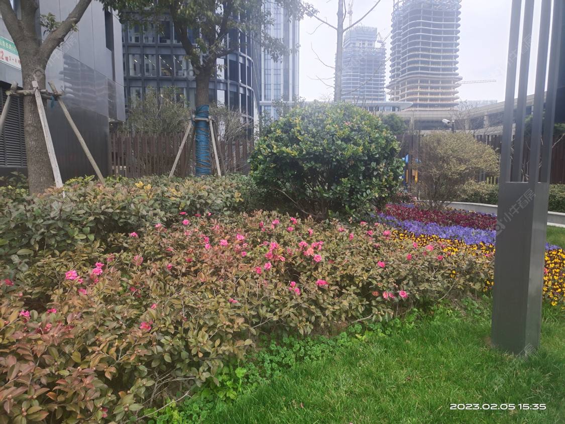 上海东方悦耀小区_东方悦耀小区null