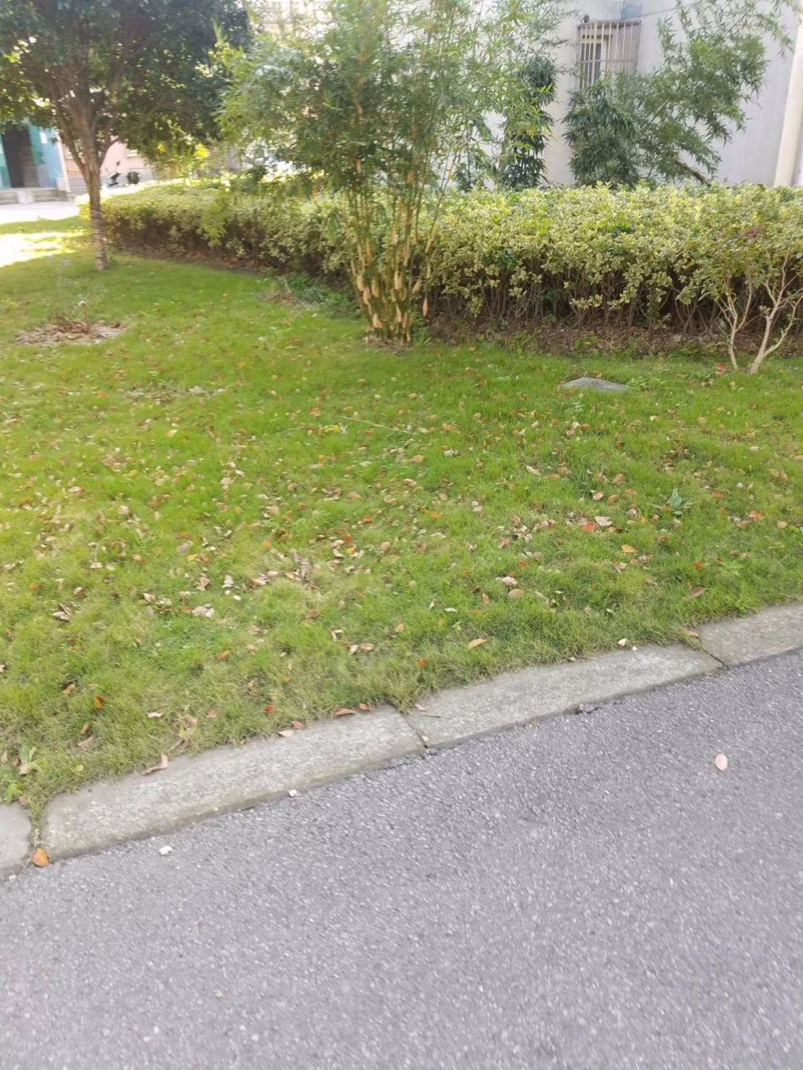 上海育苑小区北区小区_育苑小区北区小区null