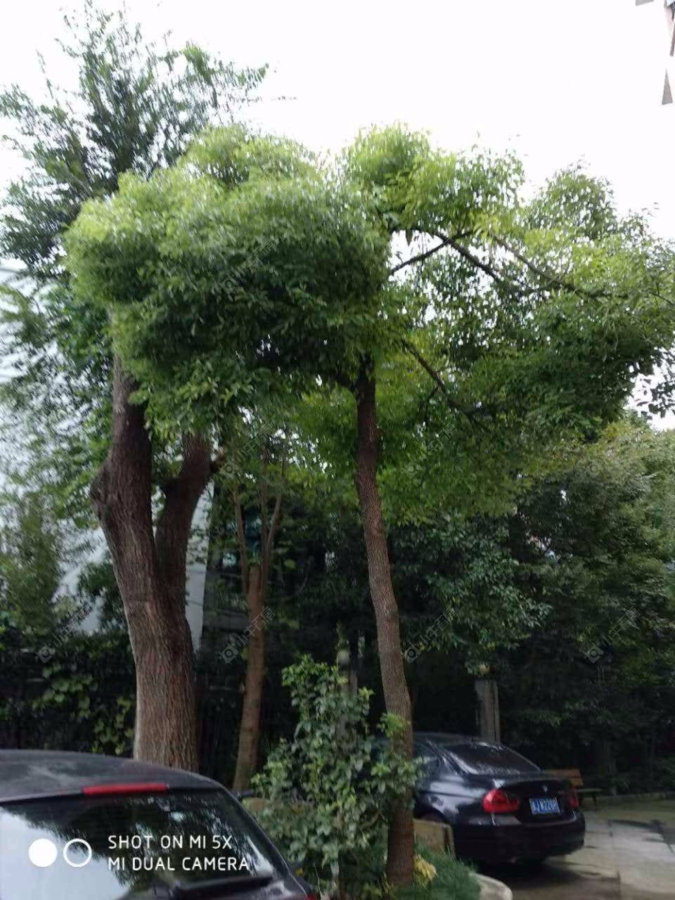 上海安顺路180弄小区_安顺路180弄小区null