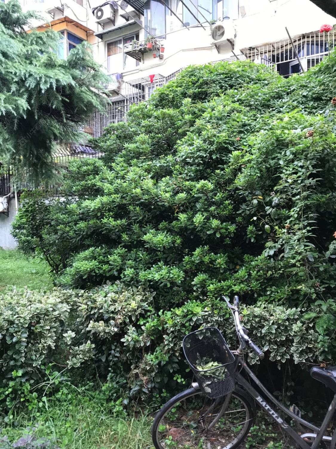 上海古美四村小区_古美四村小区null