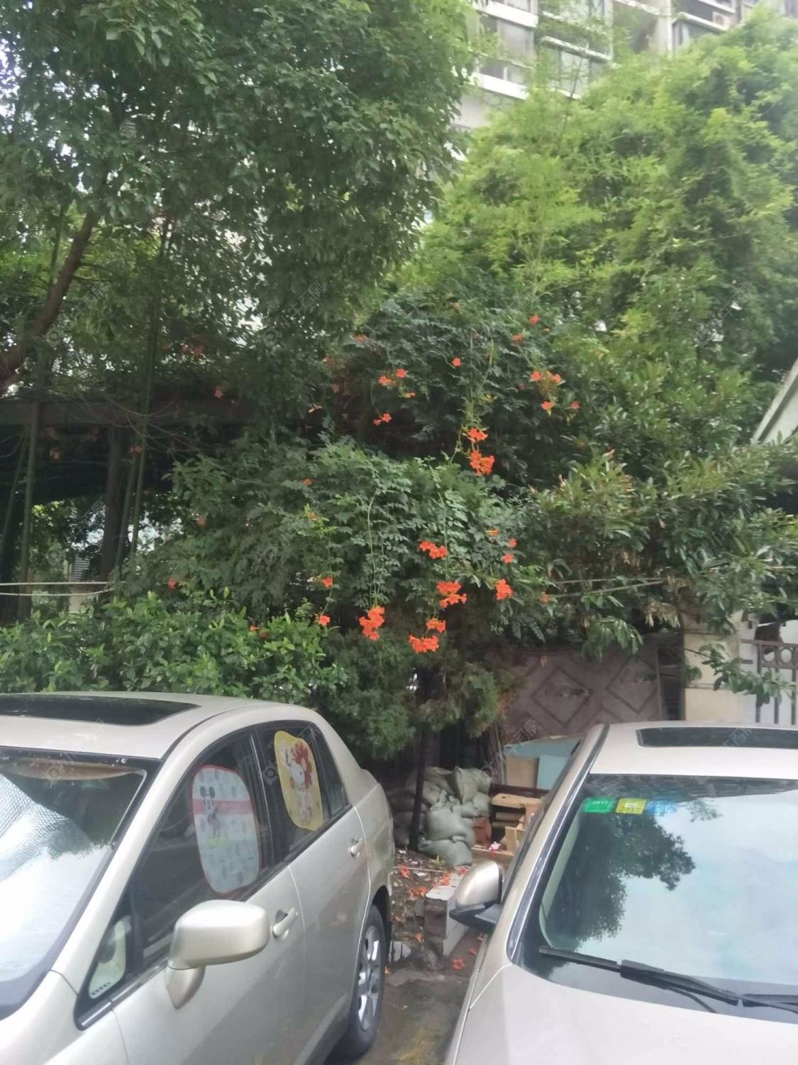 上海家化绿苑小区_家化绿苑小区null