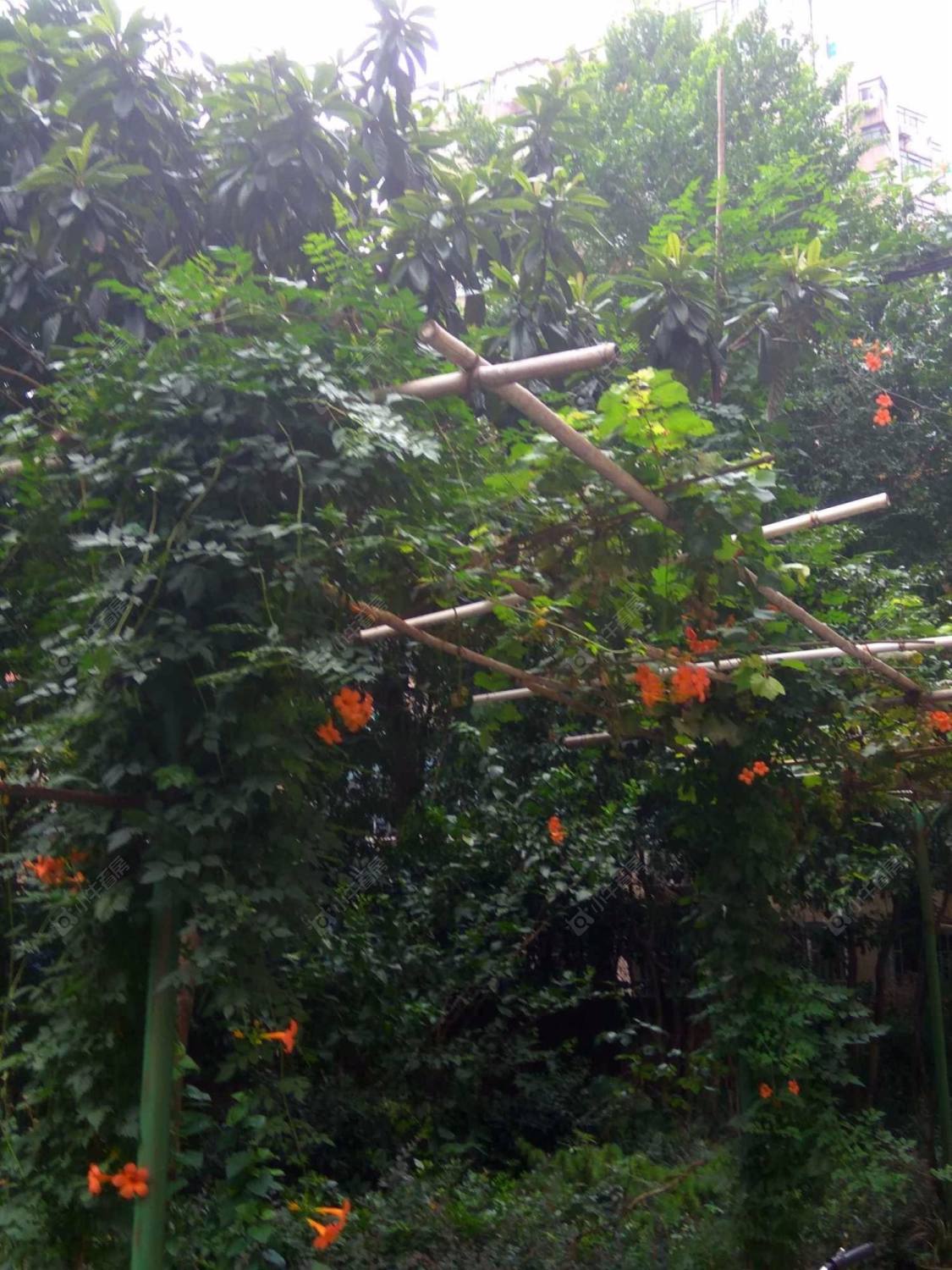 上海儿科大楼小区_儿科大楼小区null