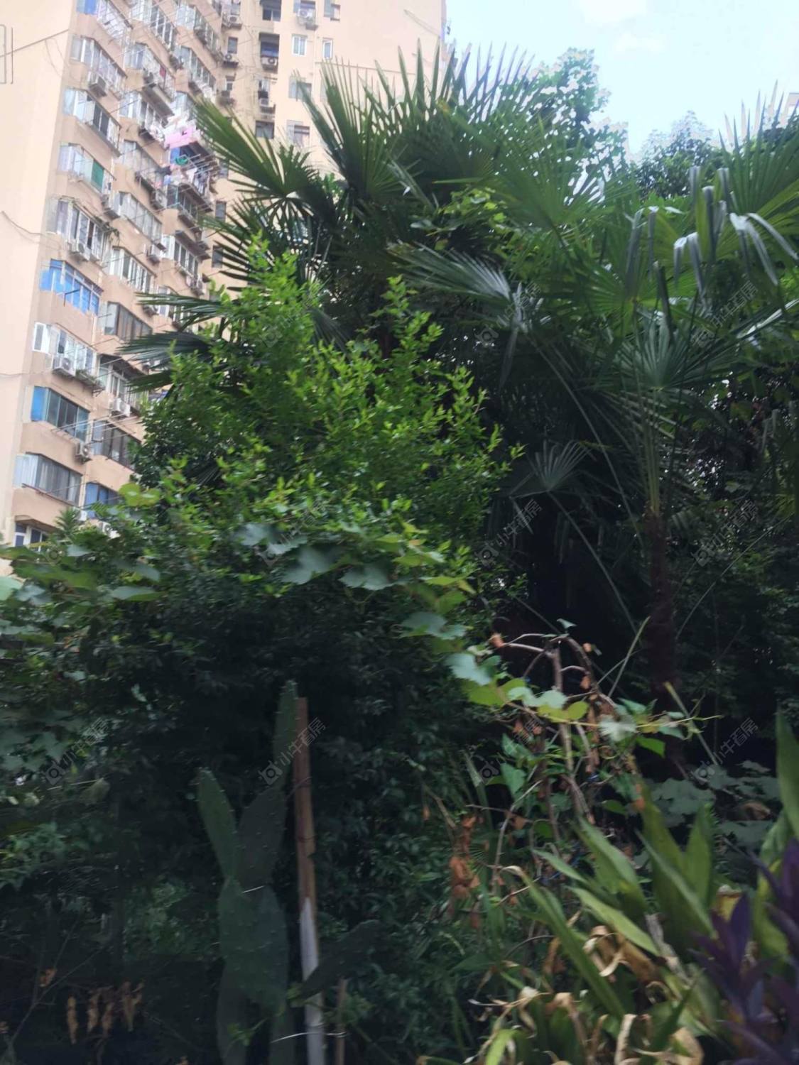 上海宏业公寓428弄小区_宏业公寓428弄小区null