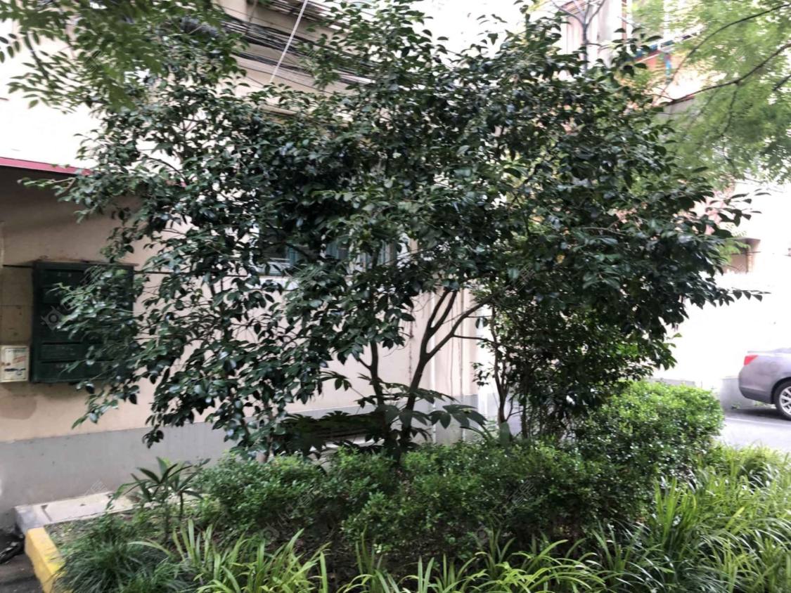 上海宏田小区小区_宏田小区小区null