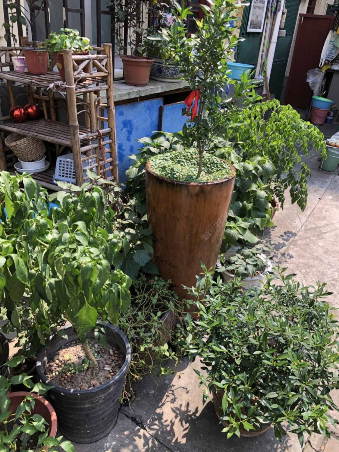 上海永嘉路56弄小区_永嘉路56弄小区null