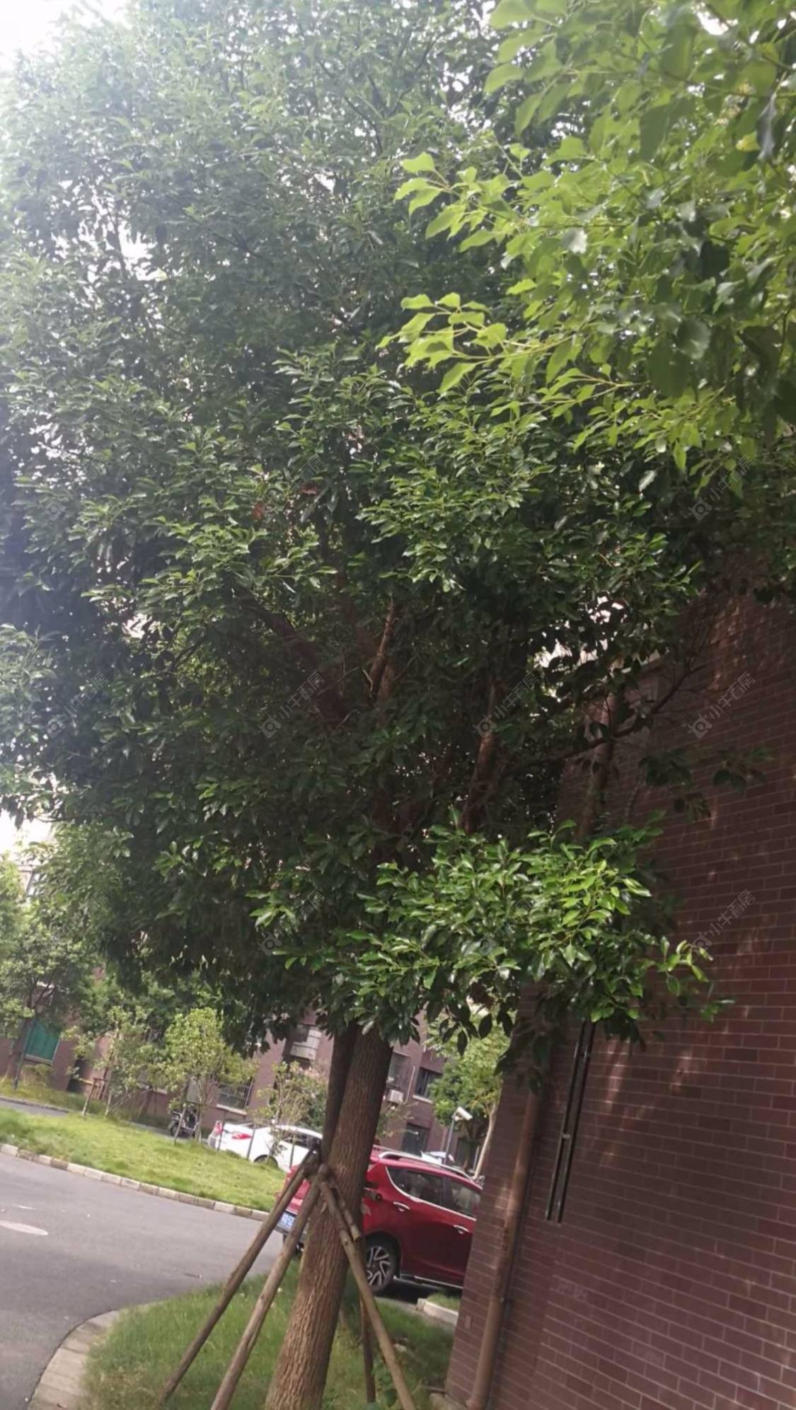 上海汇秀景苑一街坊小区_小牛看房