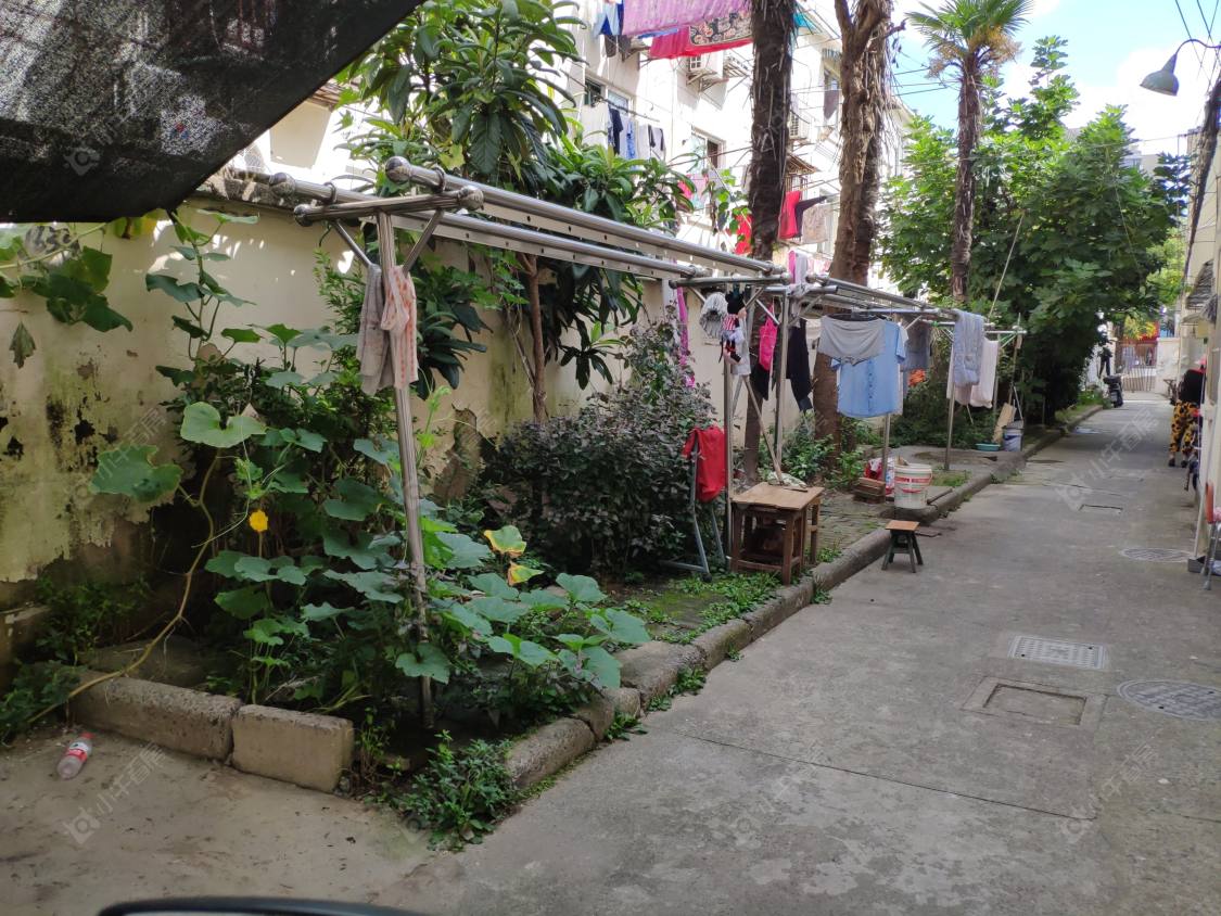 上海新村路59弄小区_新村路59弄小区null