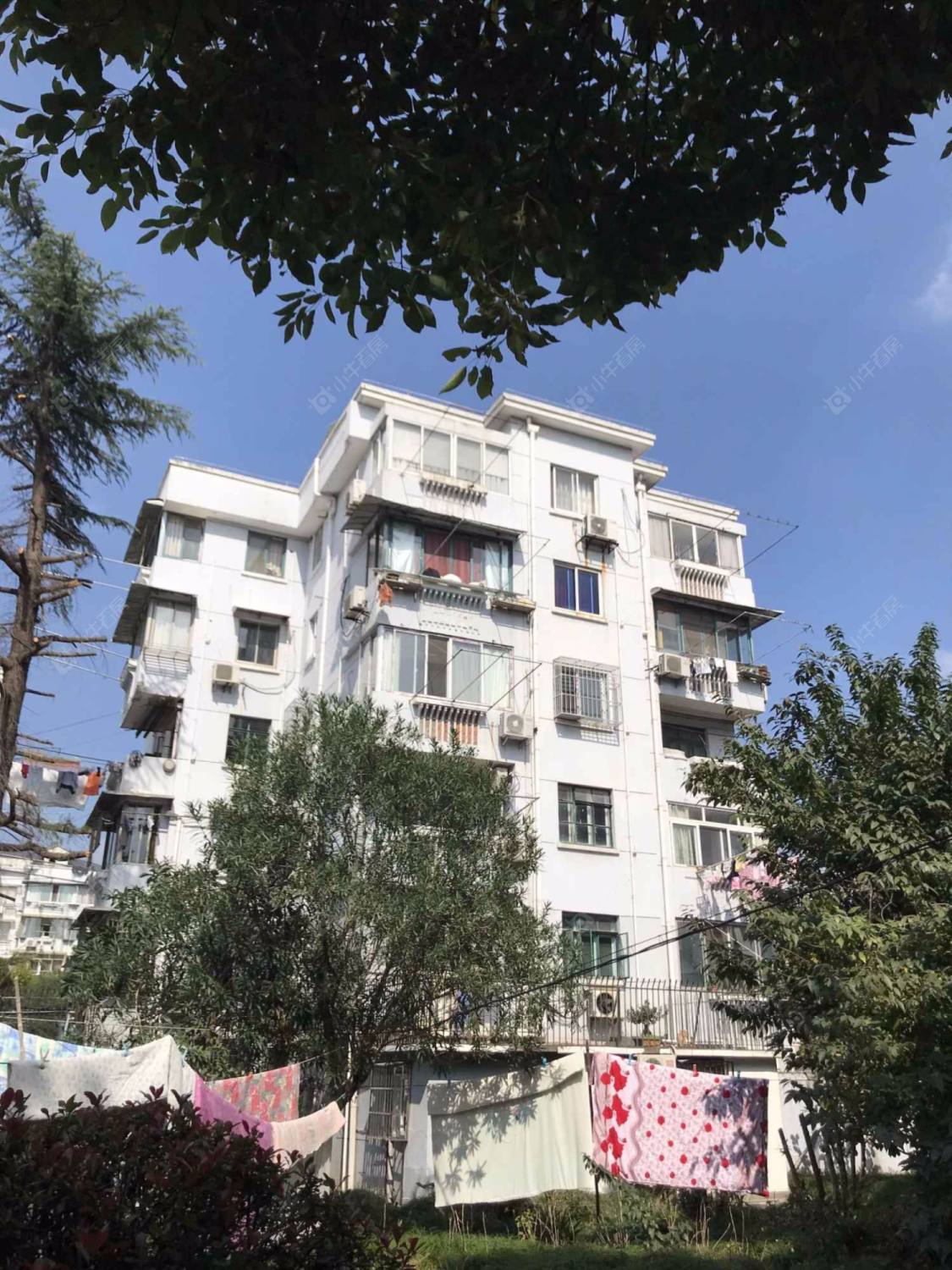 上海德州七村380弄小区_德州七村380弄小区null