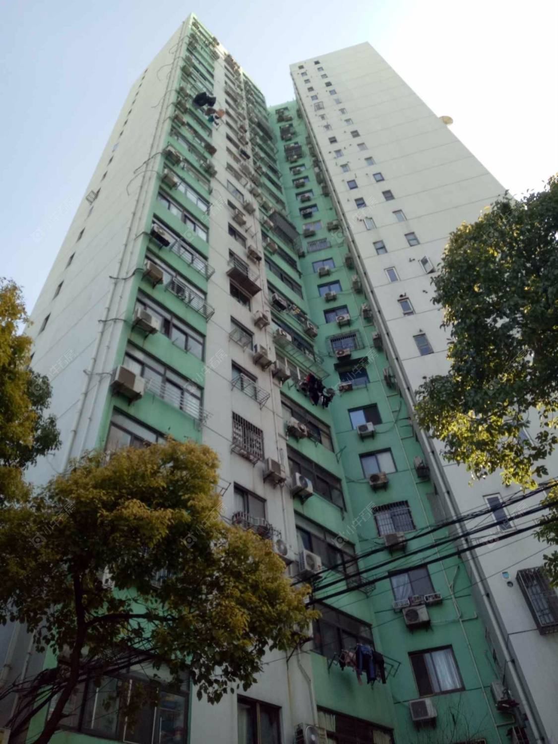 上海新园大楼小区_新园大楼小区null