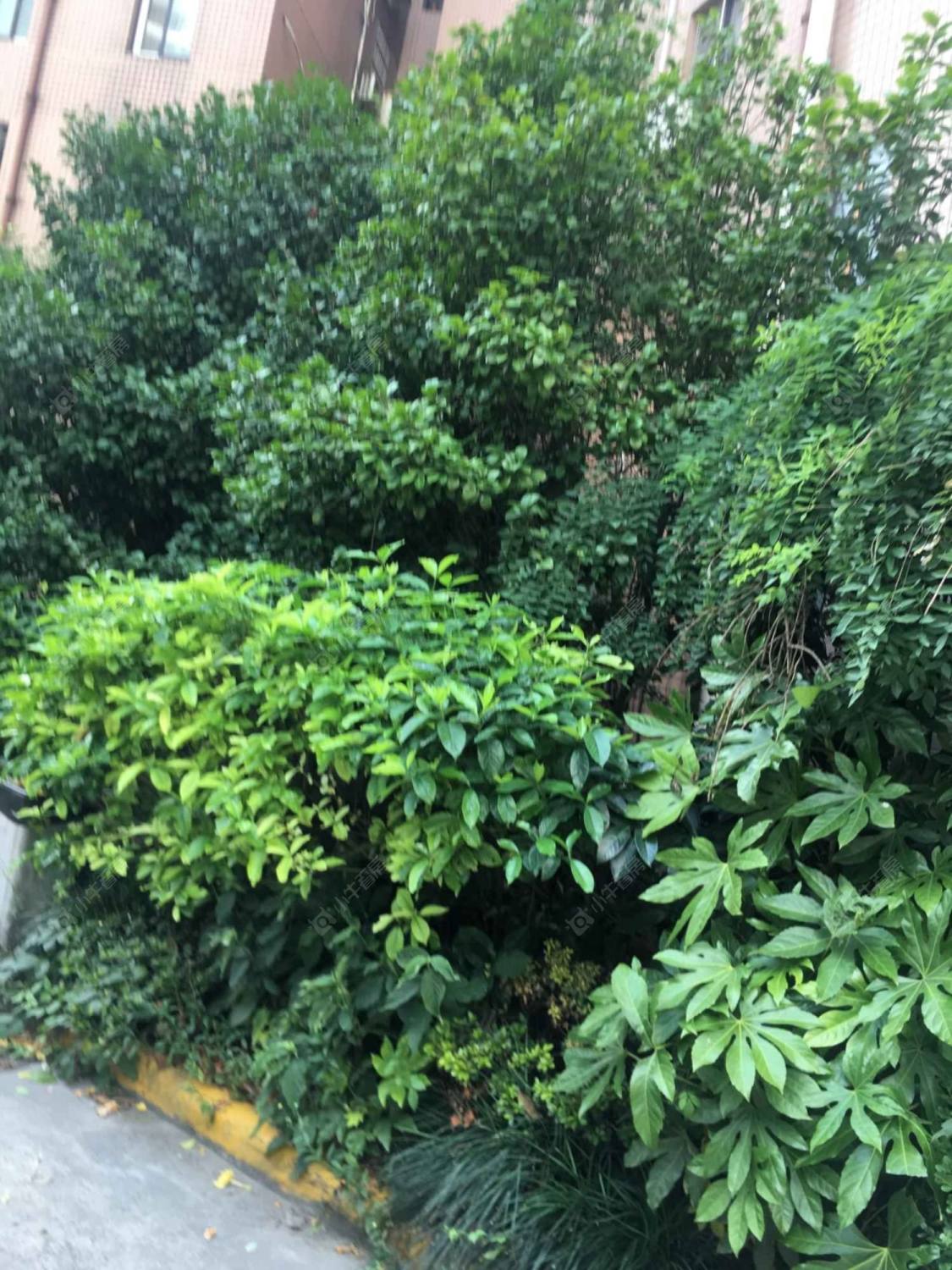 新汇公寓封面图_小牛看房