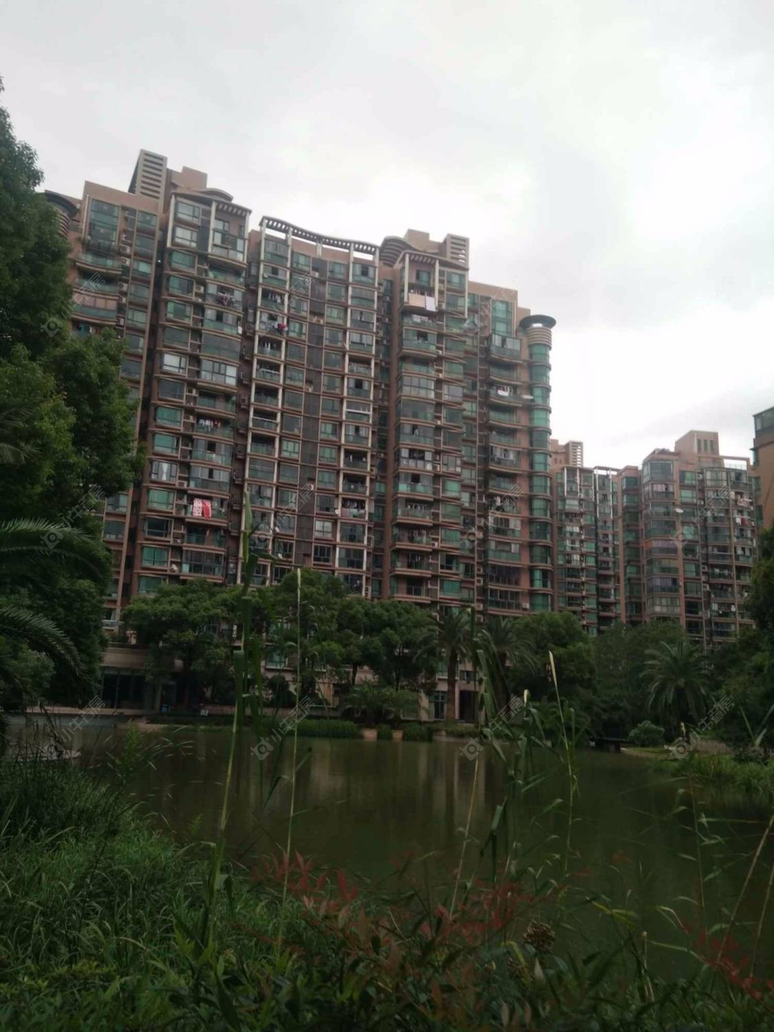 上海金沙雅苑滨湖世家小区_金沙雅苑滨湖世家小区null