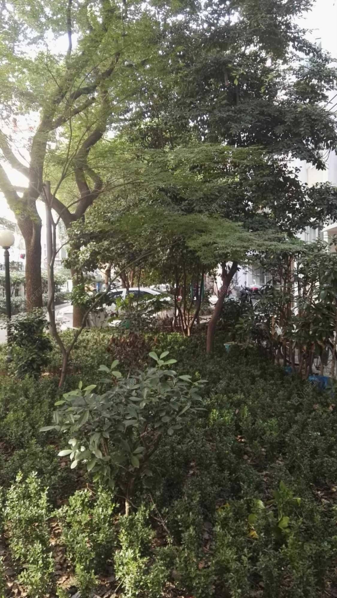 上海延安中路955弄小区_延安中路955弄小区null