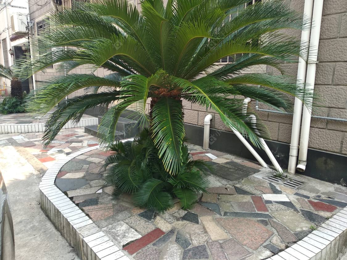 上海通汇新村小区_通汇新村小区null