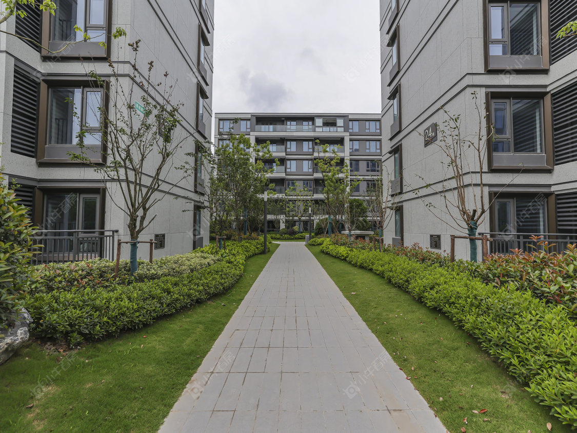 上海十里江湾289弄小区_十里江湾289弄小区null