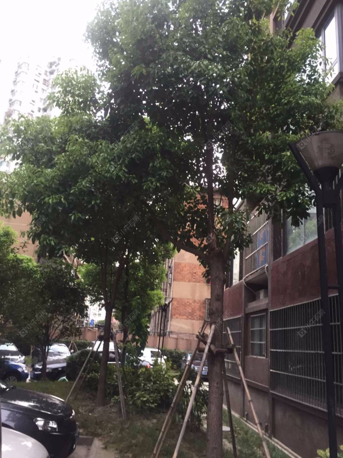 上海和源馨苑东区小区_和源馨苑东区小区null