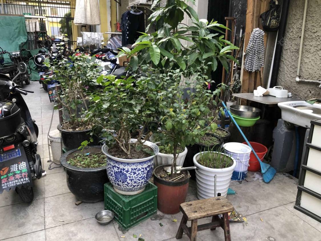 上海陕西北路835弄小区_陕西北路835弄小区实景图