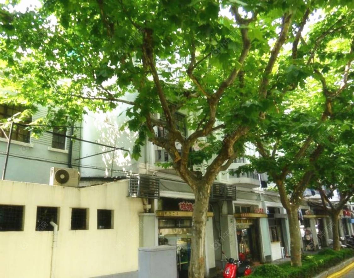 上海西星别墅小区_西星别墅小区null