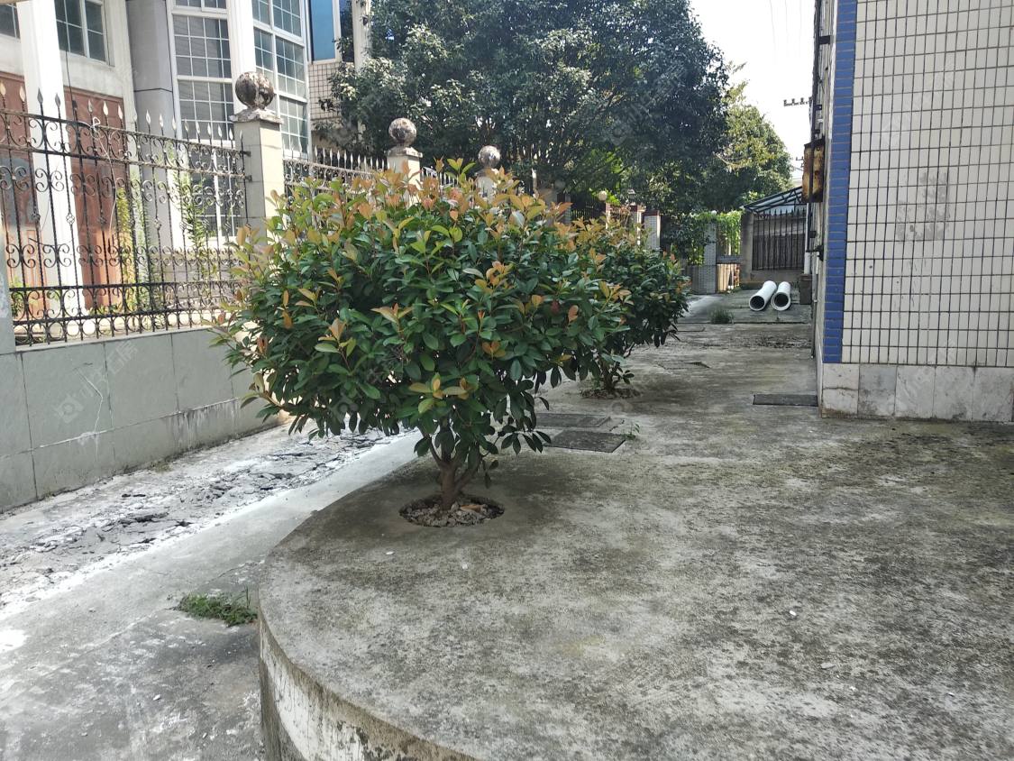 上海英雄路51弄小区_英雄路51弄小区null