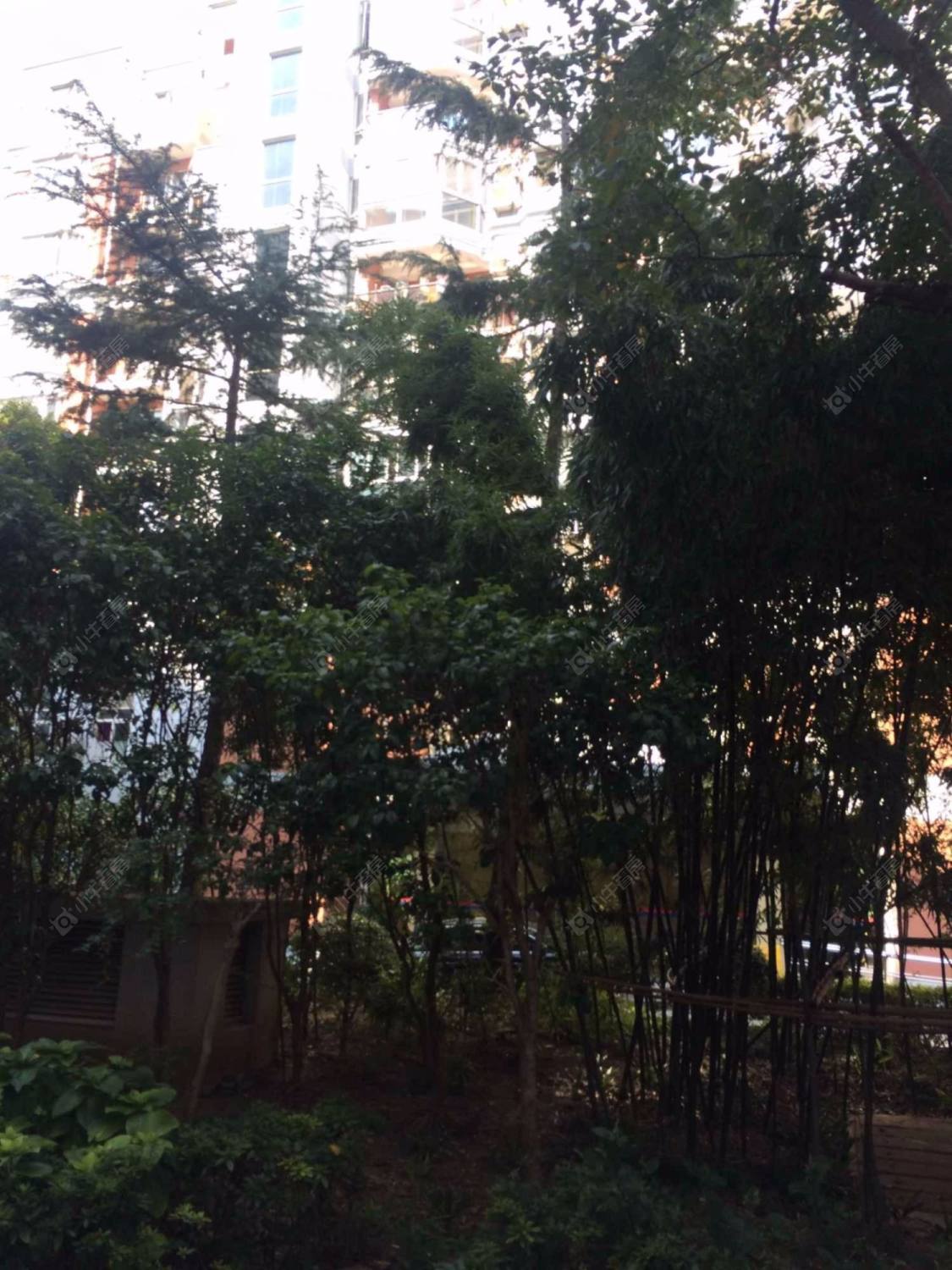 上海珍宝公寓小区_珍宝公寓小区null