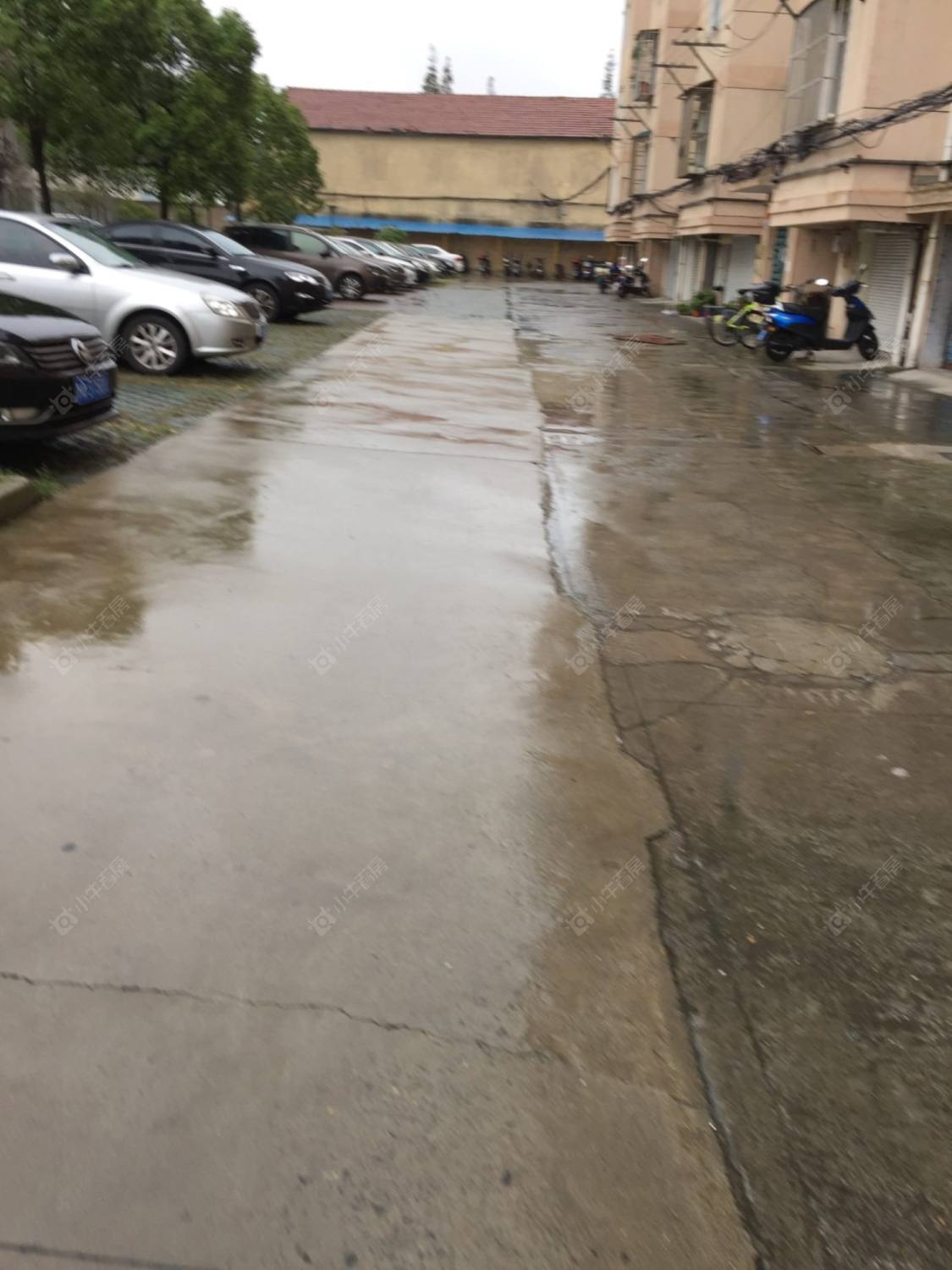 上海塘后支路55弄小区_塘后支路55弄小区null