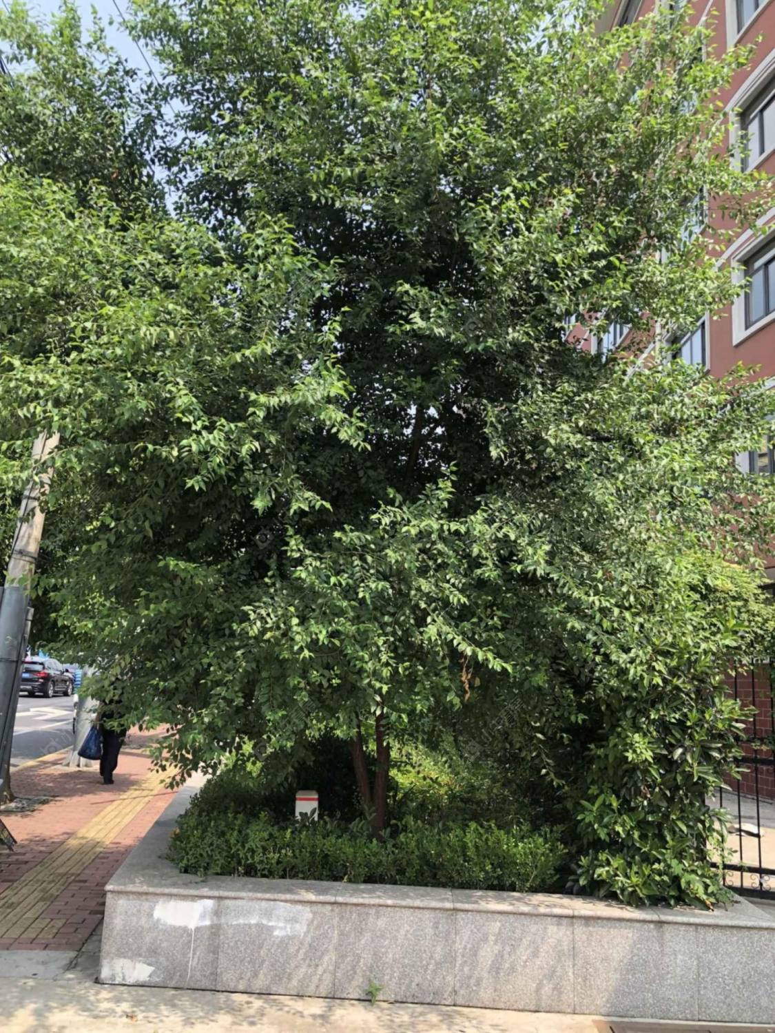 上海殷高路40弄小区_殷高路40弄小区null