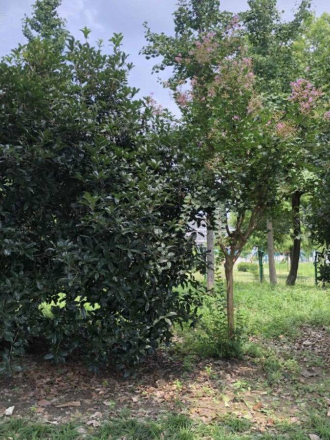 上海同乐路566弄小区_同乐路566弄小区null