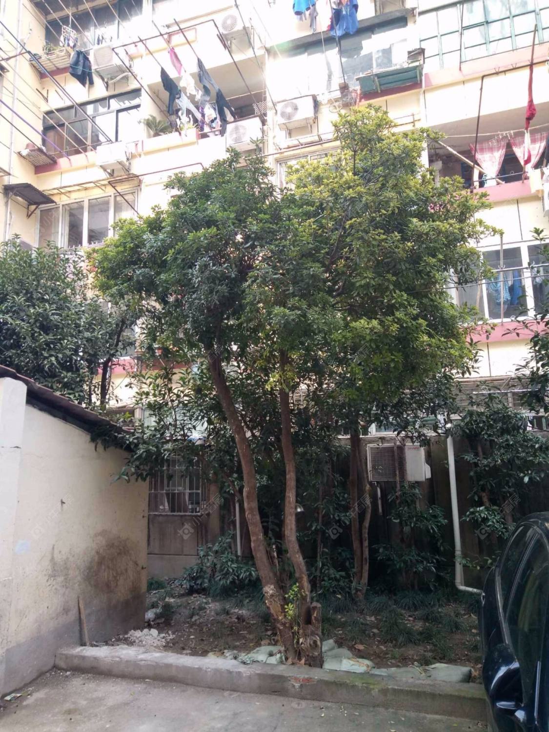 上海小木桥路277弄小区_小木桥路277弄小区null