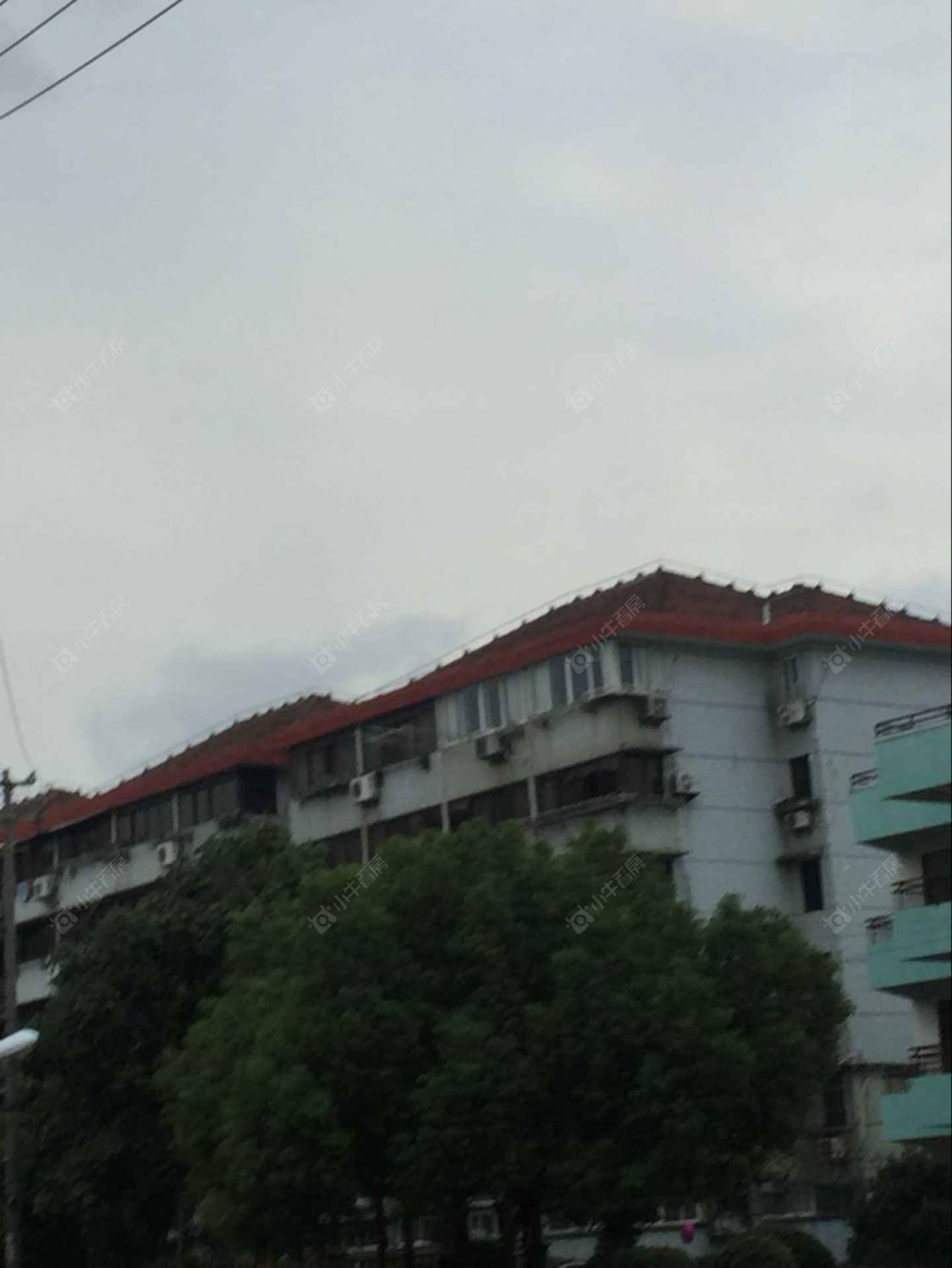 上海张泾小区小区_张泾小区小区null