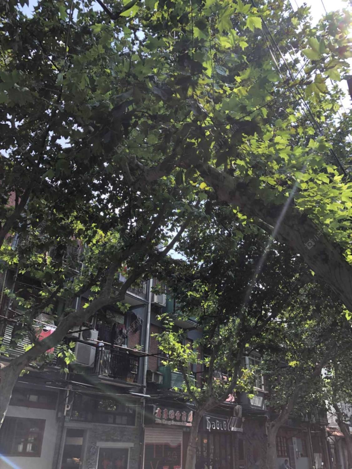 上海永康路小区_永康路小区null