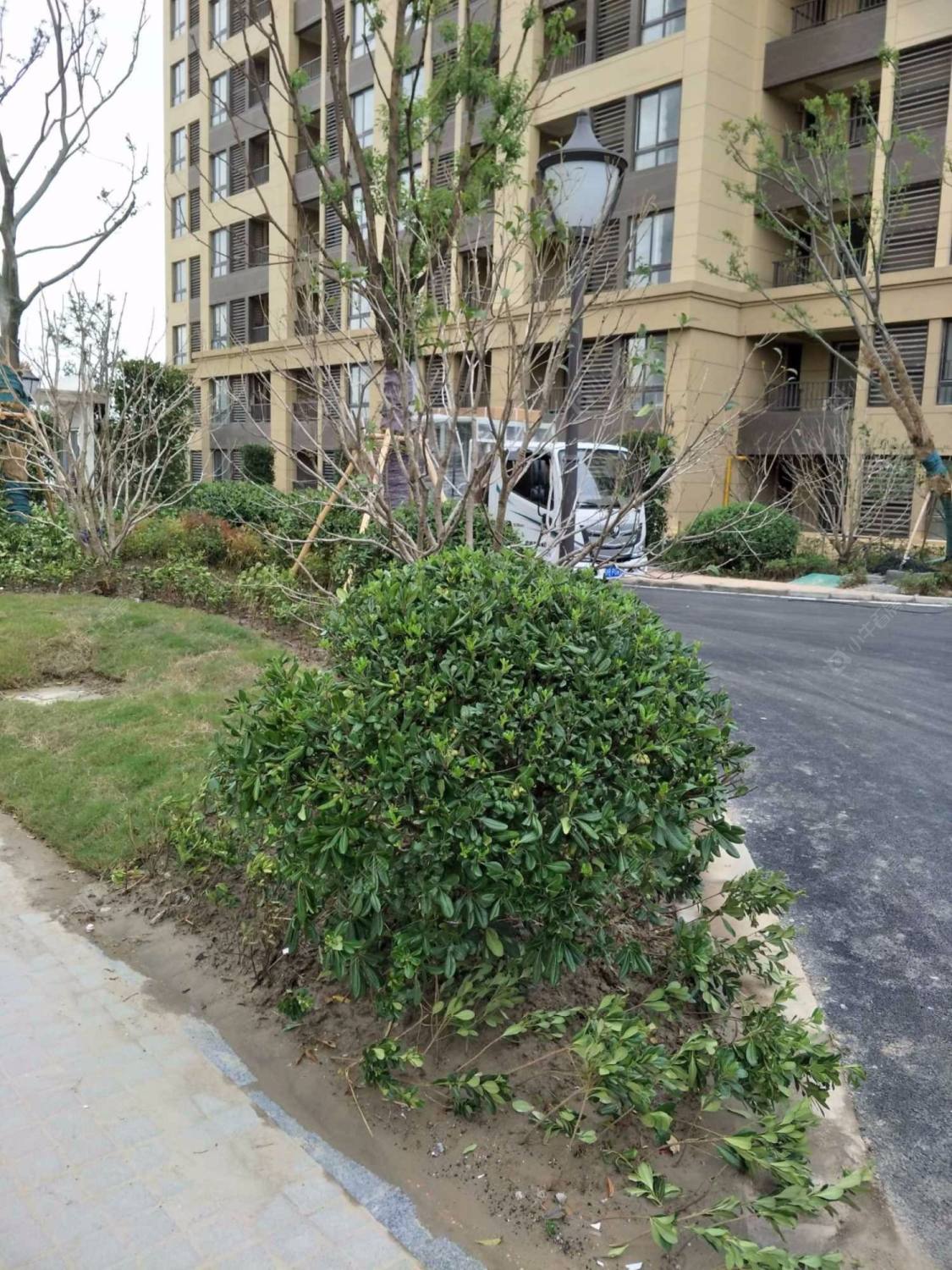 上海绿地香溢小区_绿地香溢小区null