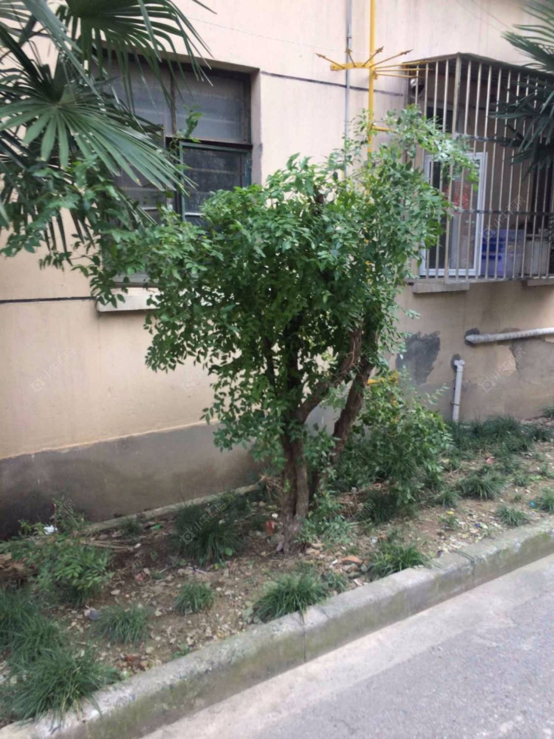 上海上南三村(138-174号(双))小区_上南三村(138-174号(双))小区null