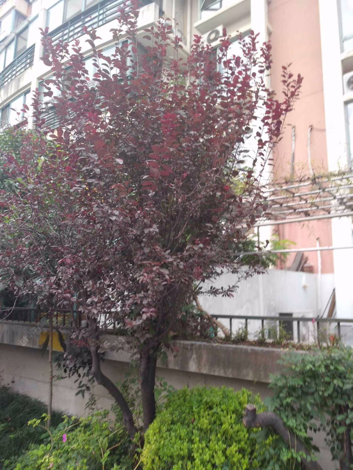 碧云新天地家园三期封面图_小牛看房