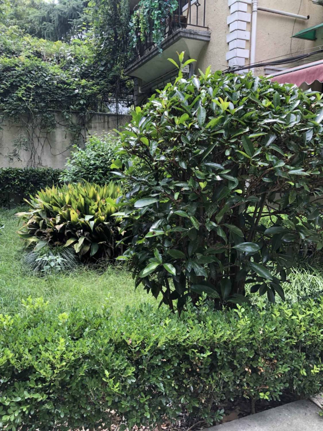 上海绍兴路52弄小区_绍兴路52弄小区null