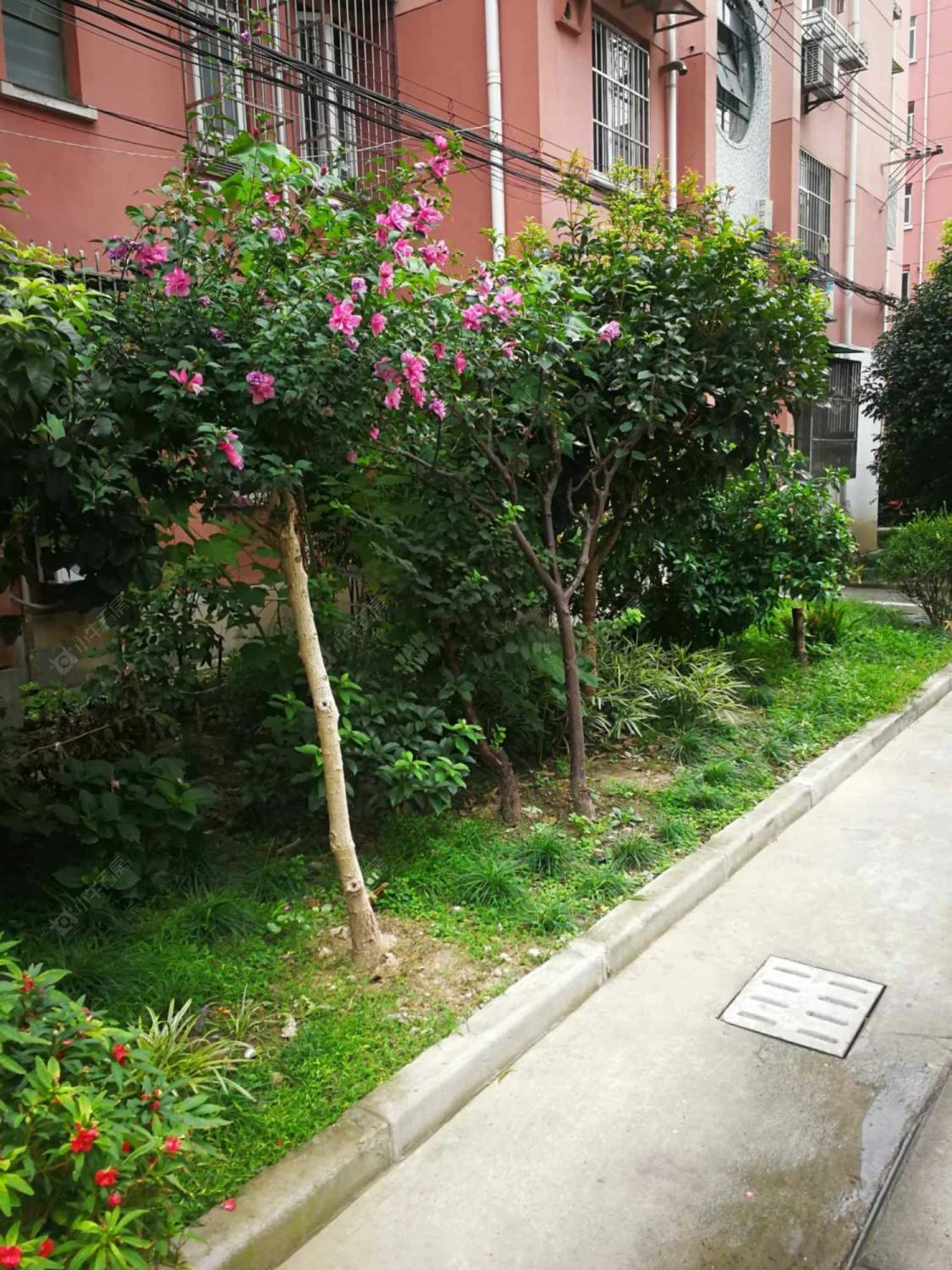 上海虹莘新村南区小区_小牛看房