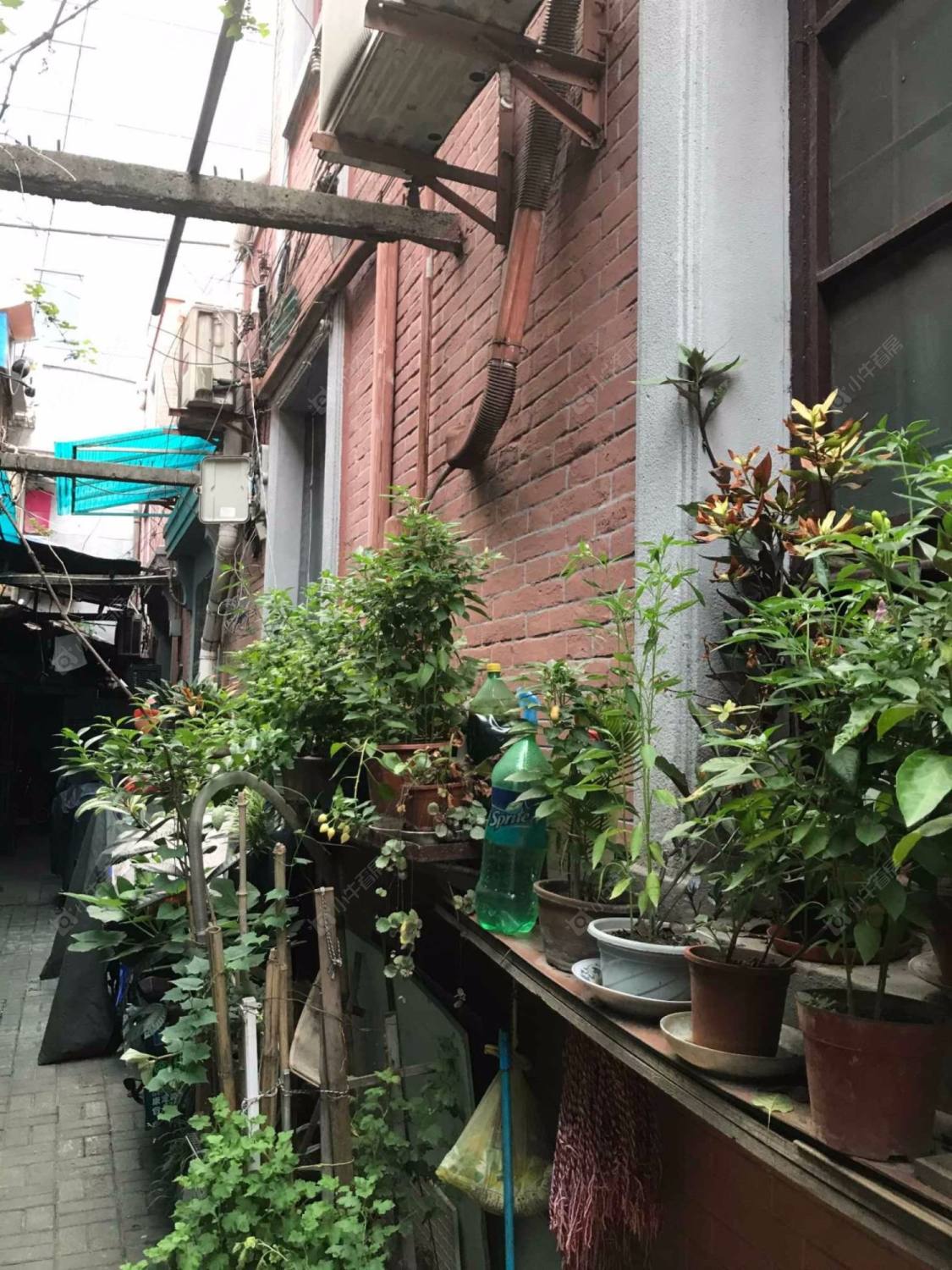 上海三星坊小区_三星坊小区null