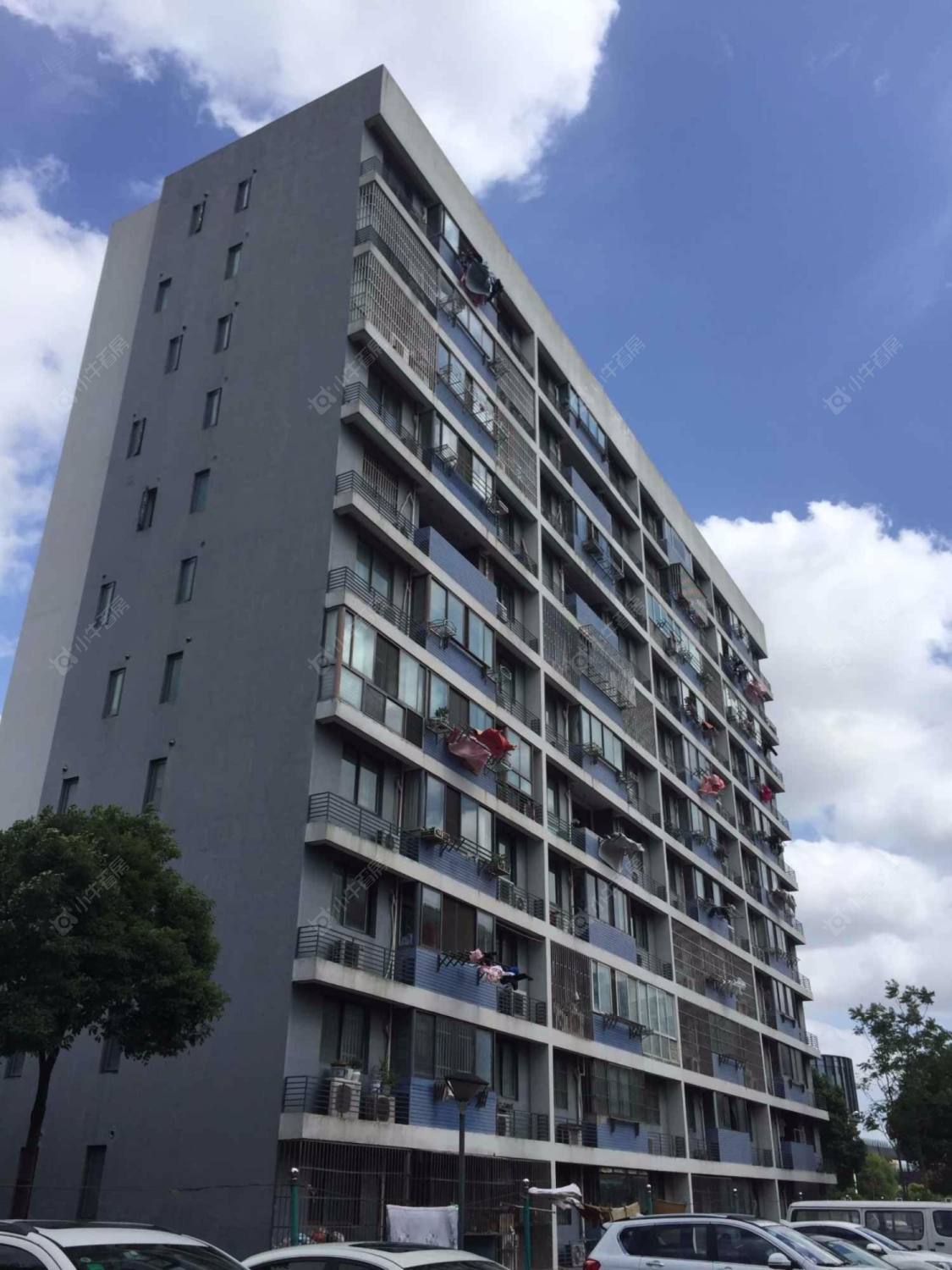 上海清风名苑小区_清风名苑小区null