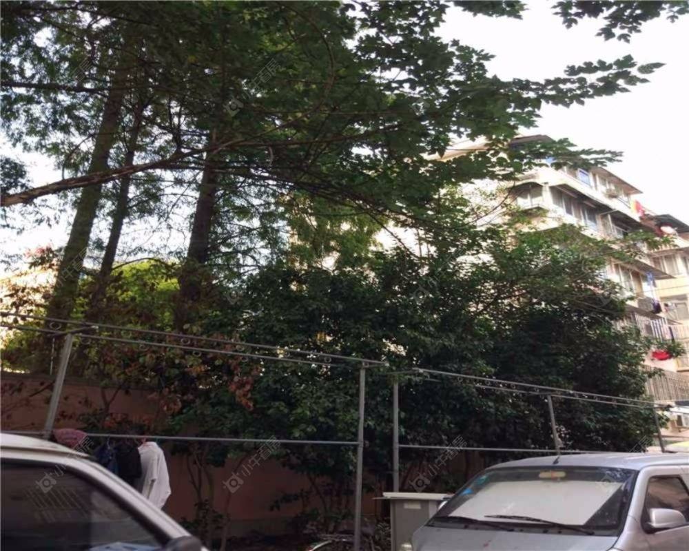 上海浦城小区小区_浦城小区小区null